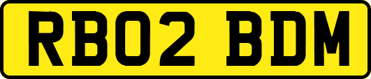 RB02BDM