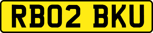 RB02BKU