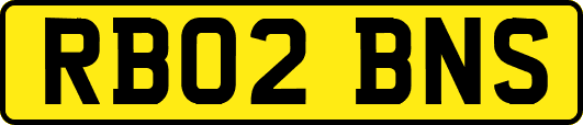 RB02BNS
