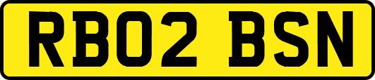 RB02BSN