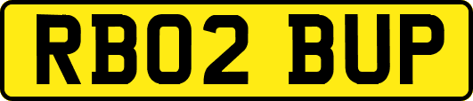 RB02BUP