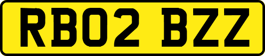 RB02BZZ