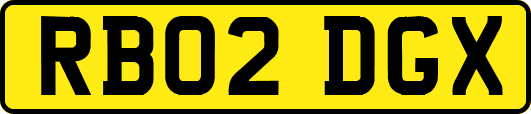 RB02DGX