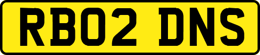 RB02DNS