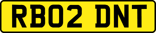 RB02DNT