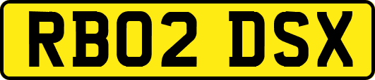 RB02DSX