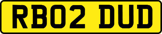 RB02DUD