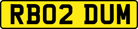 RB02DUM