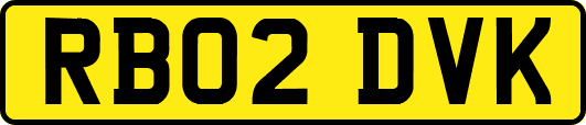 RB02DVK