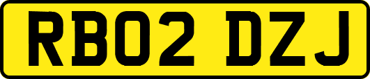 RB02DZJ