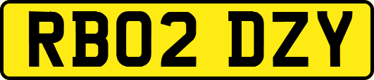 RB02DZY