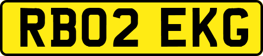 RB02EKG
