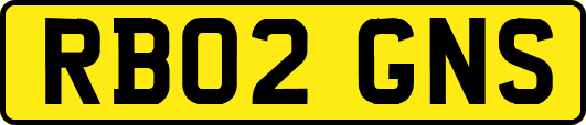 RB02GNS