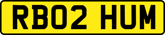 RB02HUM