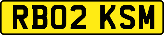 RB02KSM