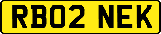 RB02NEK