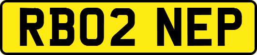 RB02NEP