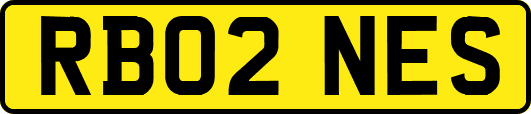RB02NES