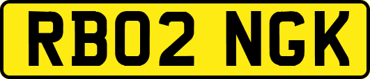 RB02NGK