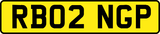 RB02NGP