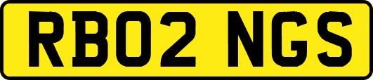 RB02NGS