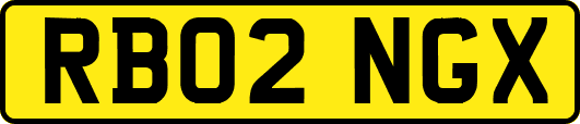 RB02NGX