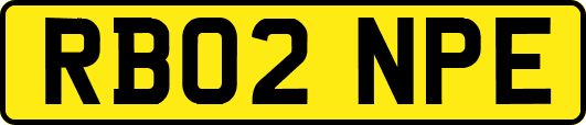 RB02NPE