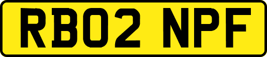 RB02NPF