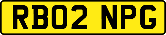 RB02NPG