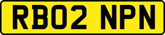 RB02NPN