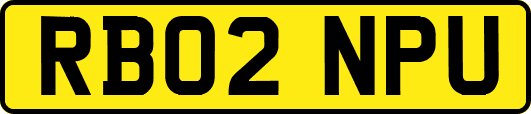 RB02NPU
