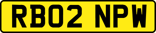 RB02NPW