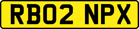 RB02NPX