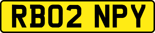 RB02NPY