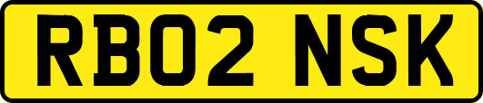 RB02NSK