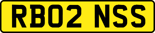 RB02NSS