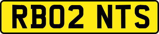 RB02NTS