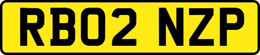 RB02NZP