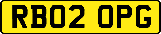 RB02OPG