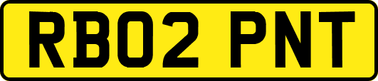 RB02PNT