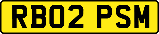 RB02PSM