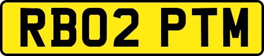 RB02PTM