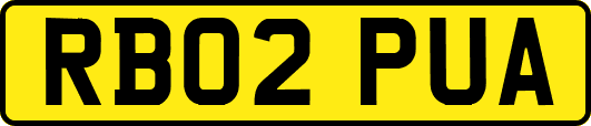 RB02PUA