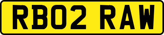 RB02RAW