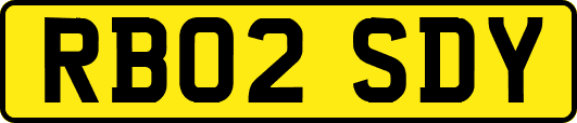 RB02SDY