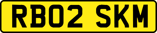 RB02SKM