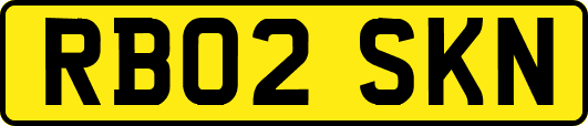 RB02SKN