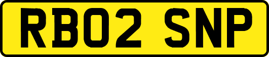 RB02SNP