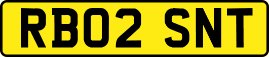 RB02SNT