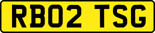 RB02TSG